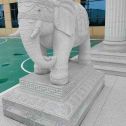 东营 白麻花岗岩动物异形石雕-大象