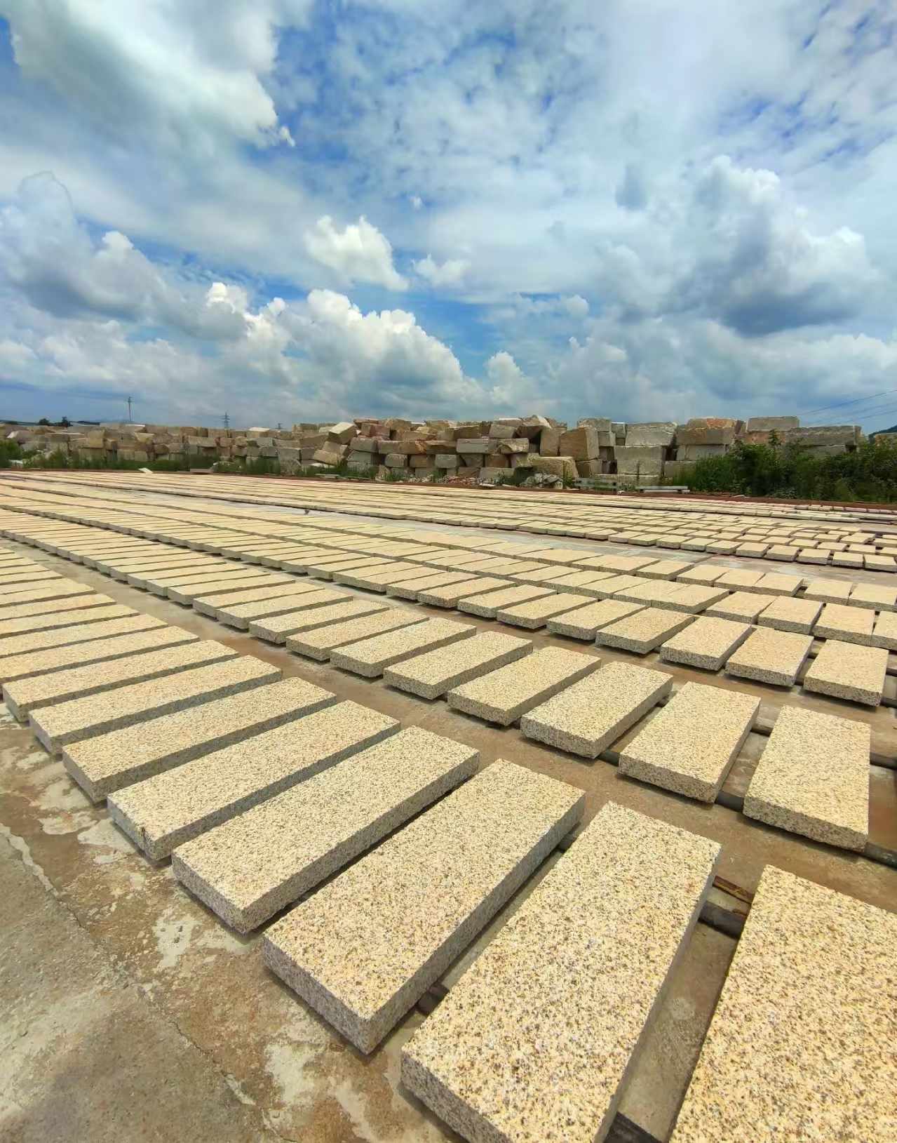 东营 黄金麻荔枝面花岗岩石材地铺石防护中